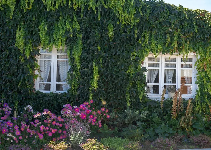 Casa Lourido 3* Sada